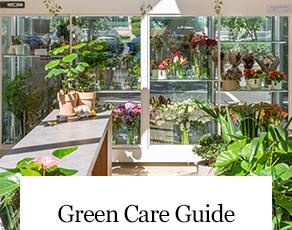 Green Care Guide